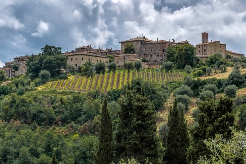 Montalcino - kolébka červeného vína Brunello di Montalcino