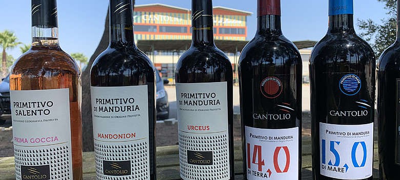 Kouzlo italského vína Primitivo