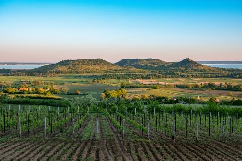 Za vínem do Maďarska: Objevte kouzlo západních vinařských regionů