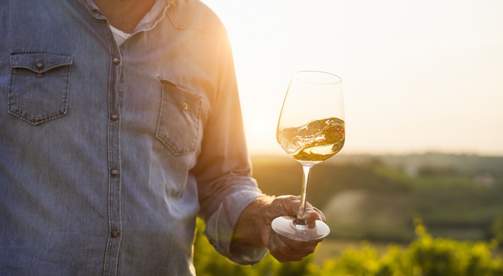Bio, organické, nebo biodynamické? Průvodce světem přírodních vín