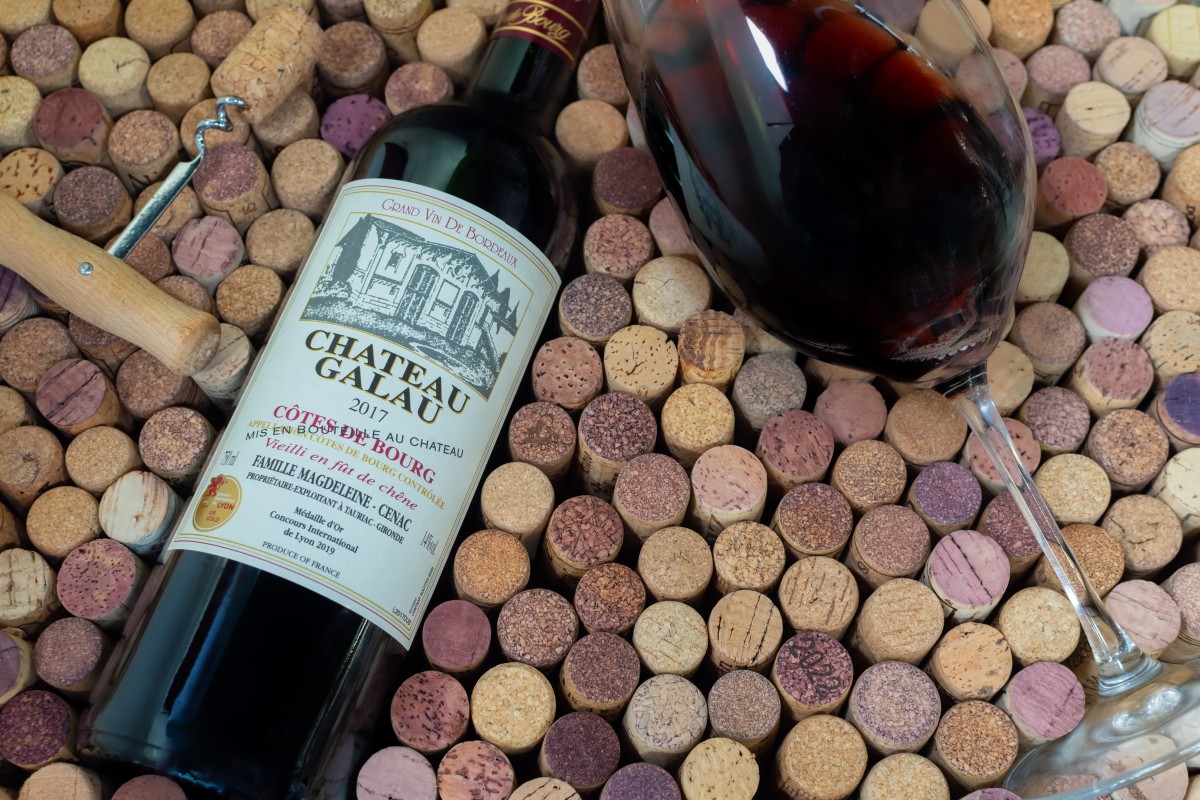 Svatý Martin 2025: Vše co potřebujete vědět o Svatomartinském vínu a tradicích