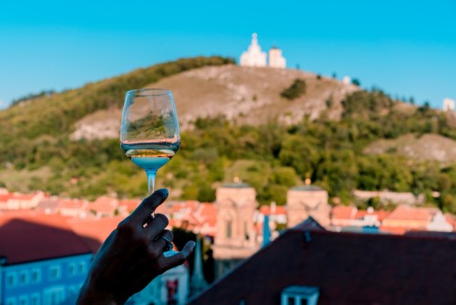 Pálava je fenoménem českého vinařství. Proč je tak speciální?